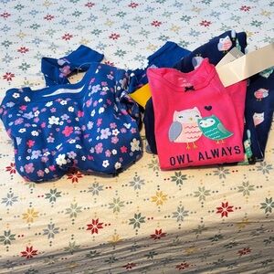 Carter's Pink and Blue Owl Pajama Set